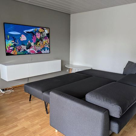 Storchennest - Schoenes, Ruhiges Apartment Mit Sonnenterrasse Tettnang Esterno foto