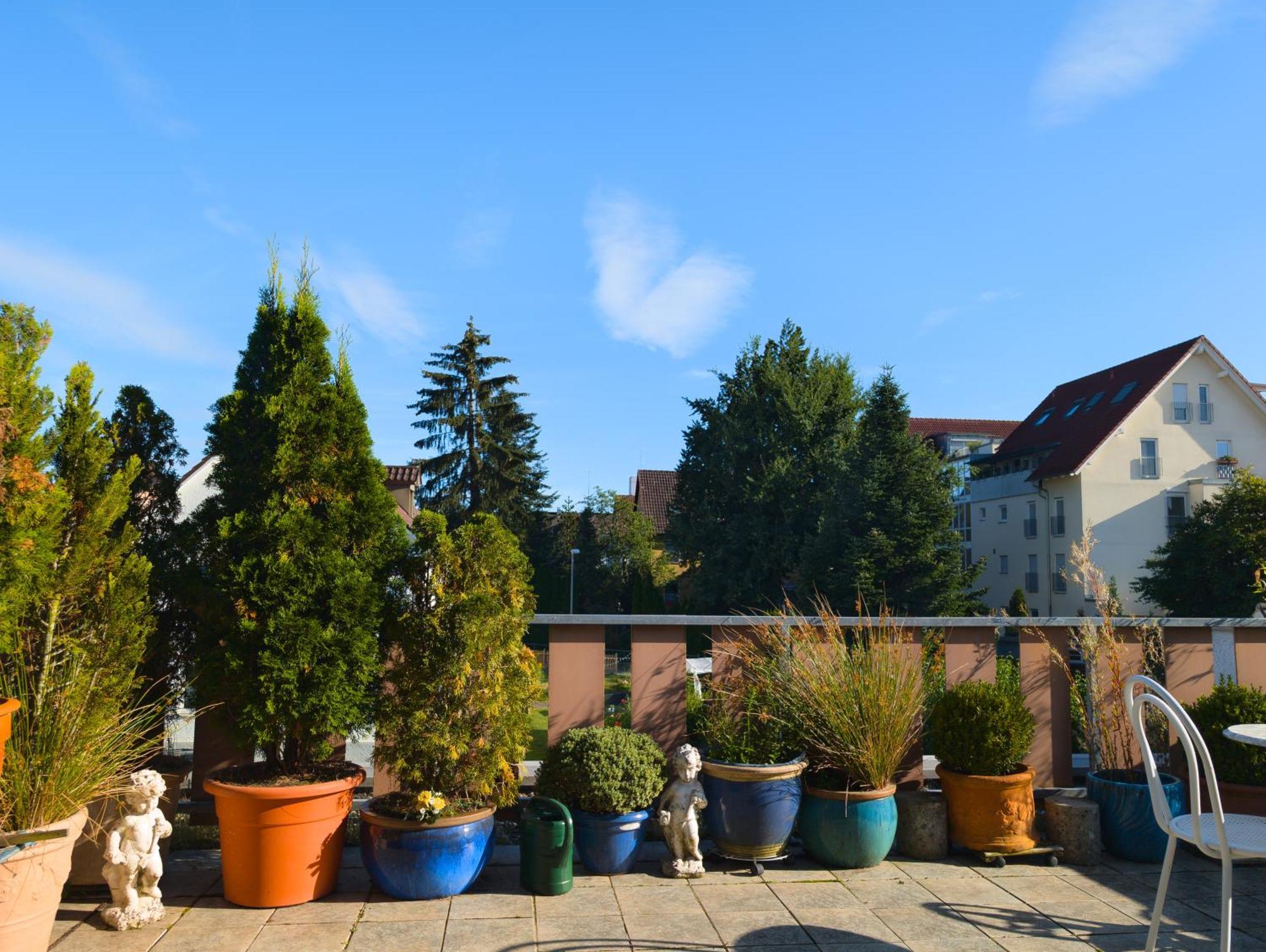 Storchennest - Schoenes, Ruhiges Apartment Mit Sonnenterrasse Tettnang Esterno foto